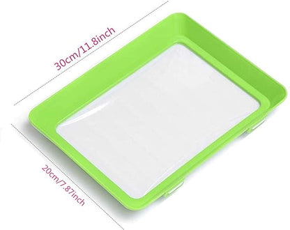 🔥 Environmentally friendly design - Reusable Food Preserving Tray🥰