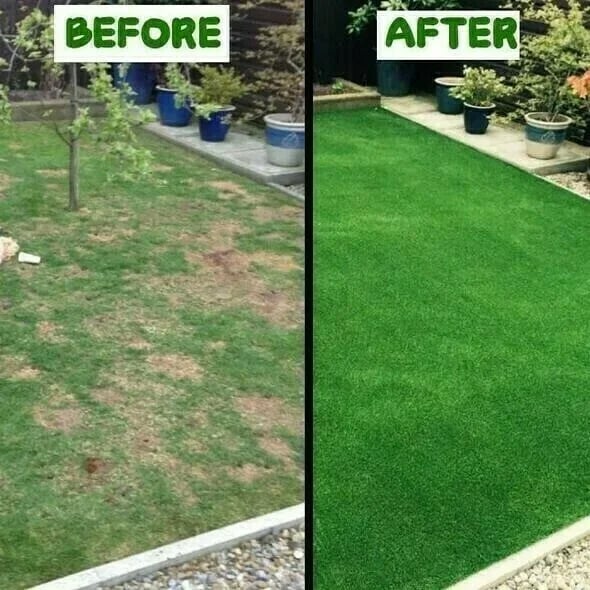 🔥Biodegradable Grass Seed Mat